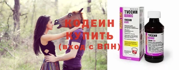 индика Беломорск