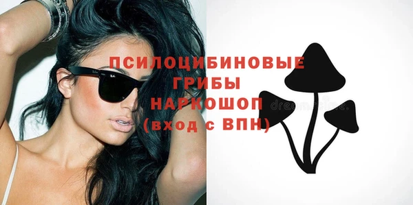 индика Беломорск