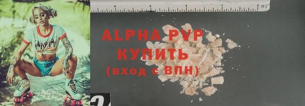 индика Беломорск