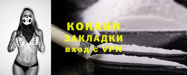 индика Беломорск