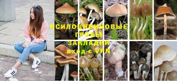 спайс Белокуриха