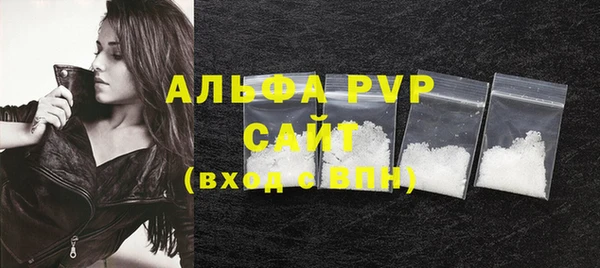 индика Беломорск
