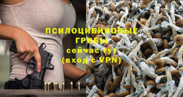индика Беломорск