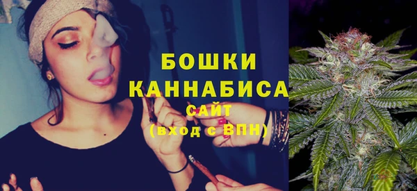 индика Беломорск