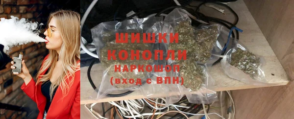 индика Беломорск