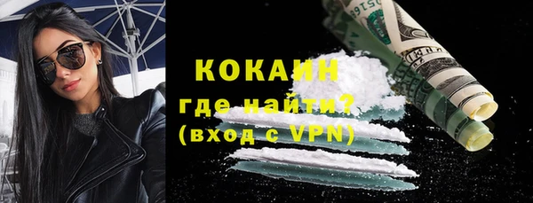 индика Беломорск