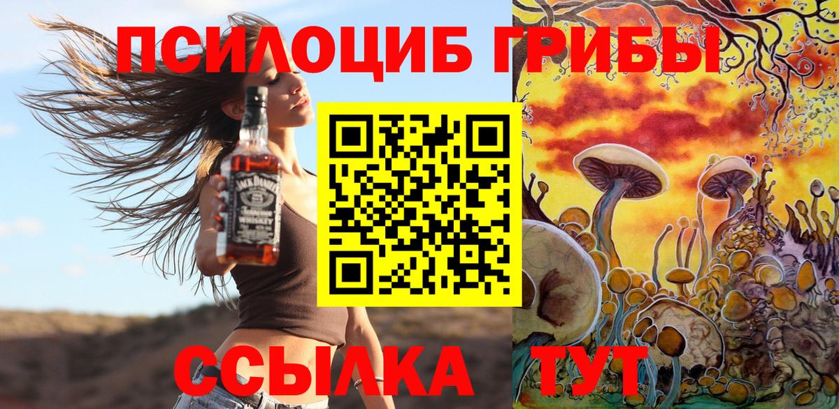 Галлюциногенные грибы Cubensis Кузнецк