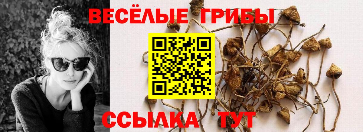 Кузнецк  Псилоцибиновые грибы мицелий  Вход с VPN 